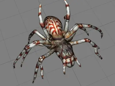 spooky scary white spider 3D print model