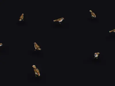 Realistic Sparrow Flock Animated Bird Swarm Shoal Birds Low-poly 3D model