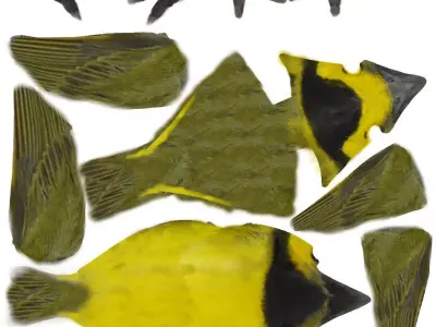 Bird V1 3D Model Free 3D model