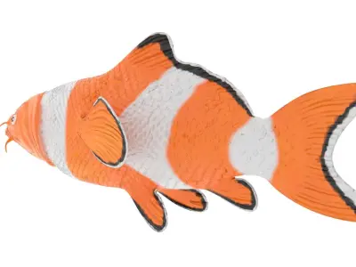 cartoon nemo fish Low-poly 3D model
