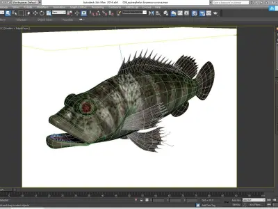 Grouper Epinephelussp Rockfish Low-poly 3D model