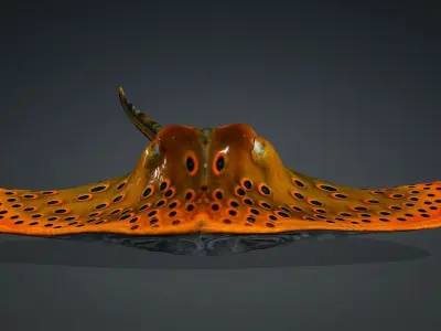Ray Fish-A2 3D model