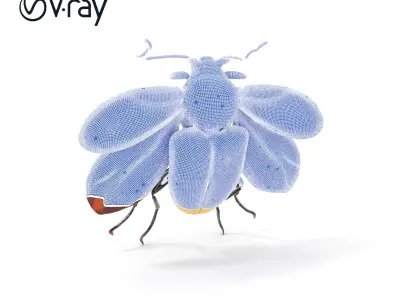 Realistic Beetle Model Pack Low-poly 3D model