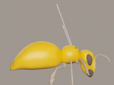 Honey Bee 3D model Low-poly 3D model
