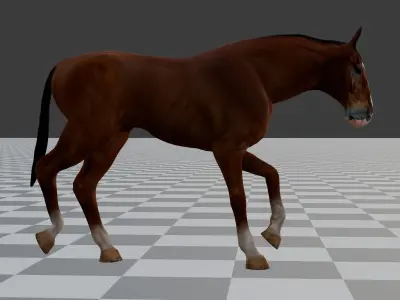 Rigged and Animated Brown Horse 3D model