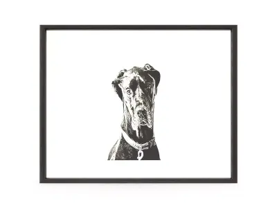 Great Dane Free 3D model