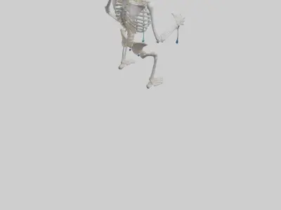 Dripping skeleton model Low-poly 3D model