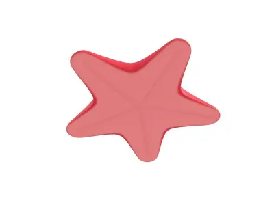 Starfish star shaped toy 3D model