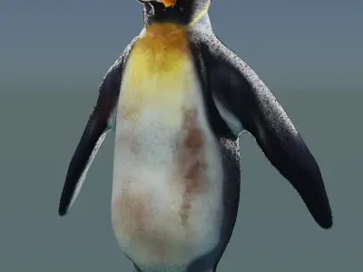 Emperor Penguin 3D model