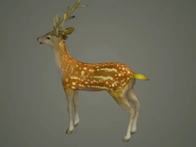 deer stag animal doe game lowpoly forest animation  3D model