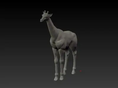 Jiraffe giraffe 3D model