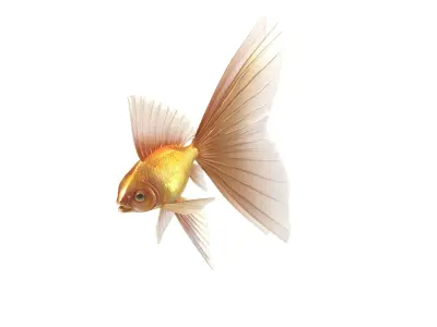 Fantasy Gold Fish Low-poly 3D model