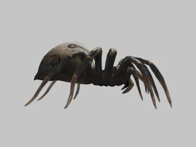 Jumping Spider Low-poly 3D model