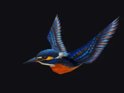 Realistic Kingfisher Animated Bird Hummingbird Shoal Low-poly 3D model