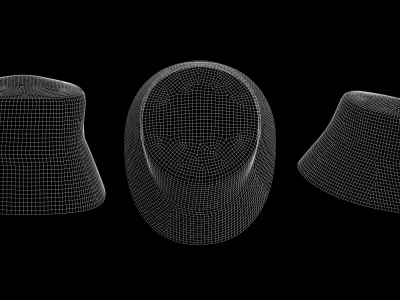 BASIC BUCKET HAT genesis 8 highpoly Free 3D model