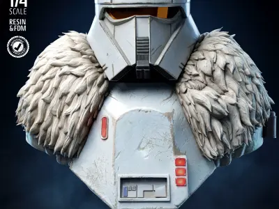 STAR WARS Imperial Rage Trooper Portrait Bust 3D print model
