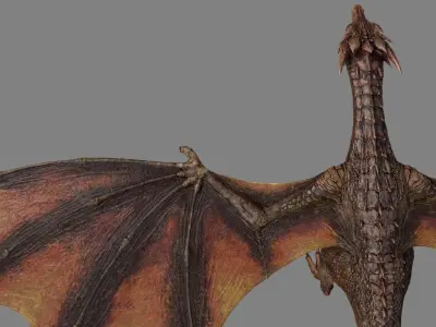 Dragon Animations Low-poly 3D model