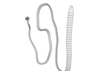 TapeWorm snake chain 3D model