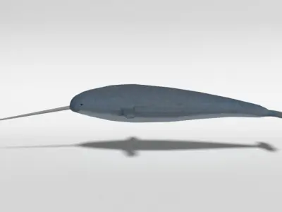 Low Poly Cartoon Narwhal Low-poly 3D model