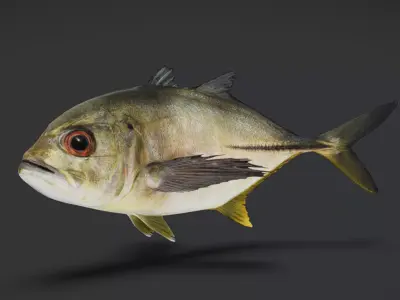 Giant Trevally Fish Animated 3D model