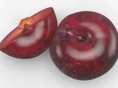 Plum 02 3D model