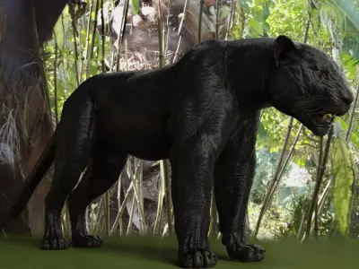 Black Panther Rigged Low-poly 3D model