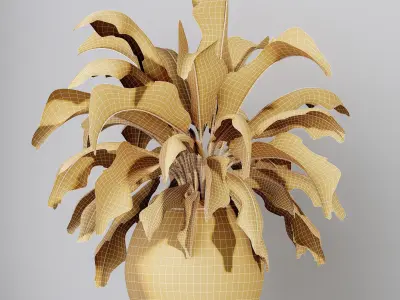 Plants Ravenala Banana Strelitzia Nicolai Bird Of Paradise Set02 3D model