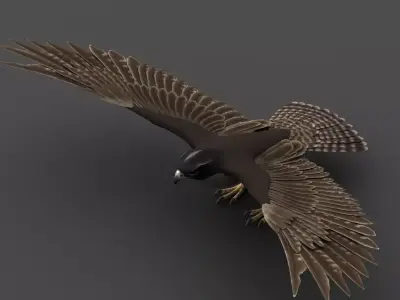 Falcon in flight 3D model