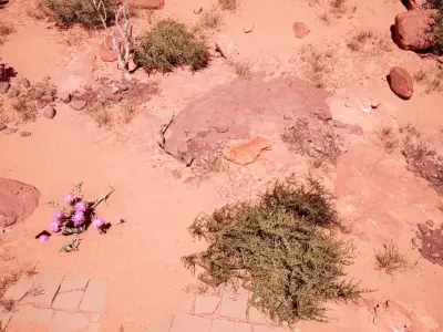 Ancient Roman Environment 3D model