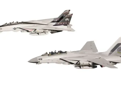 F14 TOMCAT 3D model