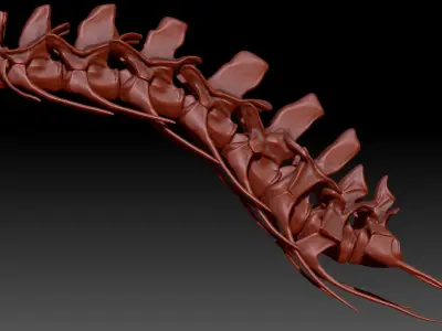 Spinosaurus Neck Skeletons Set 3D model