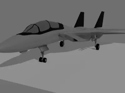 Grumman F-14 Tomcat Free 3D model