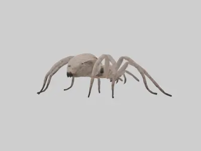 Huntsman Spider Low-poly 3D model
