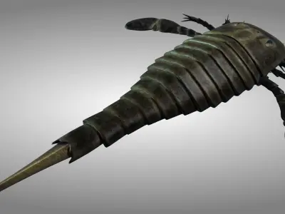 sea scorpion 3D model