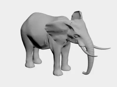 Elephant-wild animals 3D model