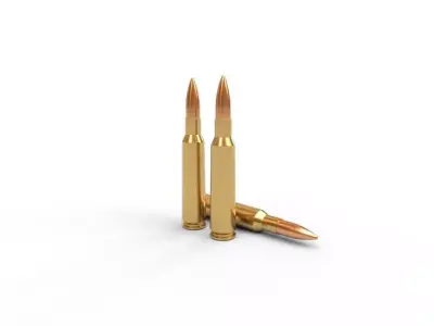460 Steyr Ammo Low-poly 3D model