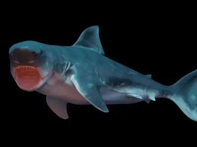Great White Shark Low-poly 3D model