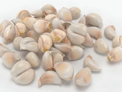 Garlic Clove Pile v2 3D model