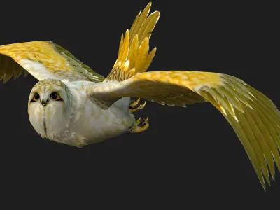 OwlBird A4 3D model