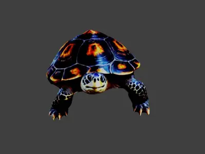 Turtle - Tortoise Low-poly 3D model