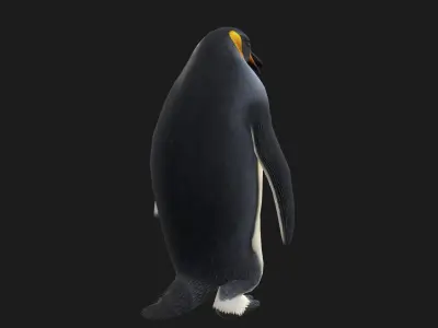 Animated penguin 3D model