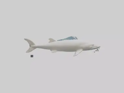 Beluga Sturgeon swimming model Low-poly 3D model