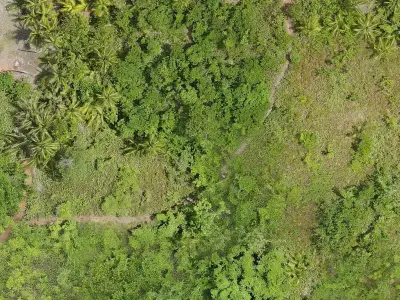 BMC-CAMINO Free 3D model