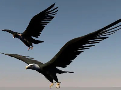 Game ready Low Poly bird collection two bald eagles flying in... Free low-poly 3D model