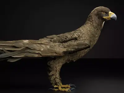 Golden Eagle 3D Model I Game Ready Blender Low-poly 3D model