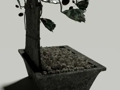 Ceramic Bansai Free 3D model