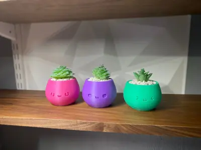 Not Kawaii Pots 1-year commercial licence 3D print model 3D print model