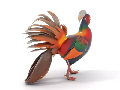 Vibrant Pheasant model pack Low-poly 3D model