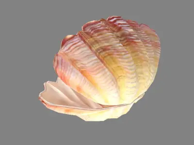 Pearls and shells - mussels Low-poly 3D model