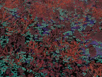 Glowing alien herbs and bushes 7 Low-poly 3D model